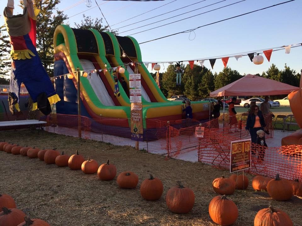 Festival Park Escape Room Festival Park Escape Room