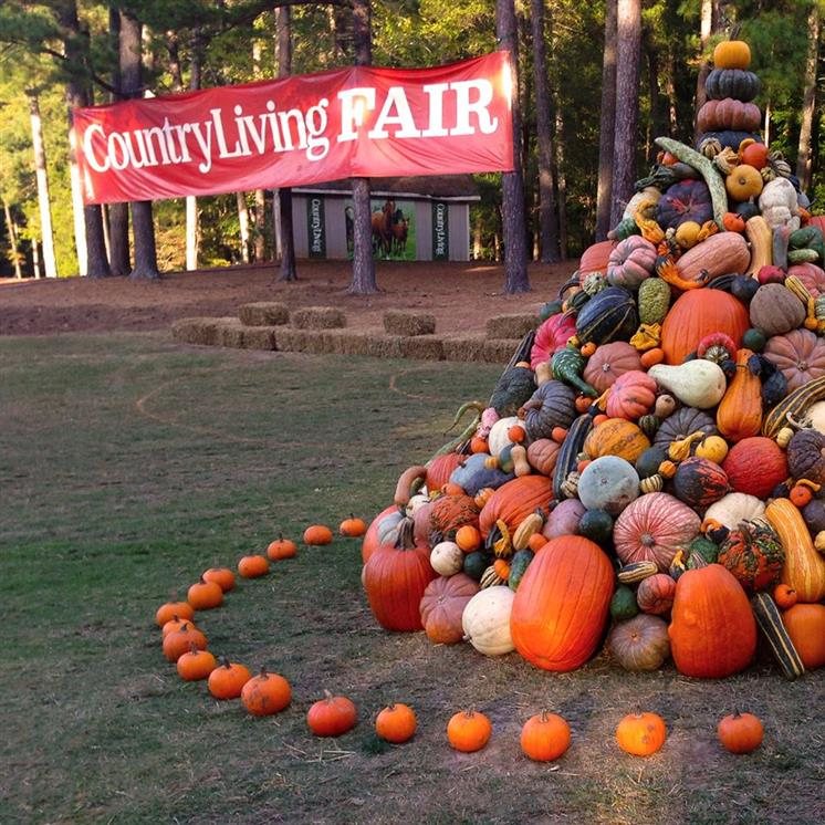 Offers Related To Stone Mountain Park Coupons Browse our entire directory of voucher codes by category or store name.